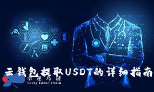 云钱包提取USDT的详细指南